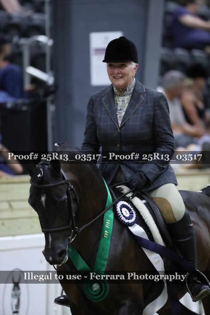 Proof 25R13_03517