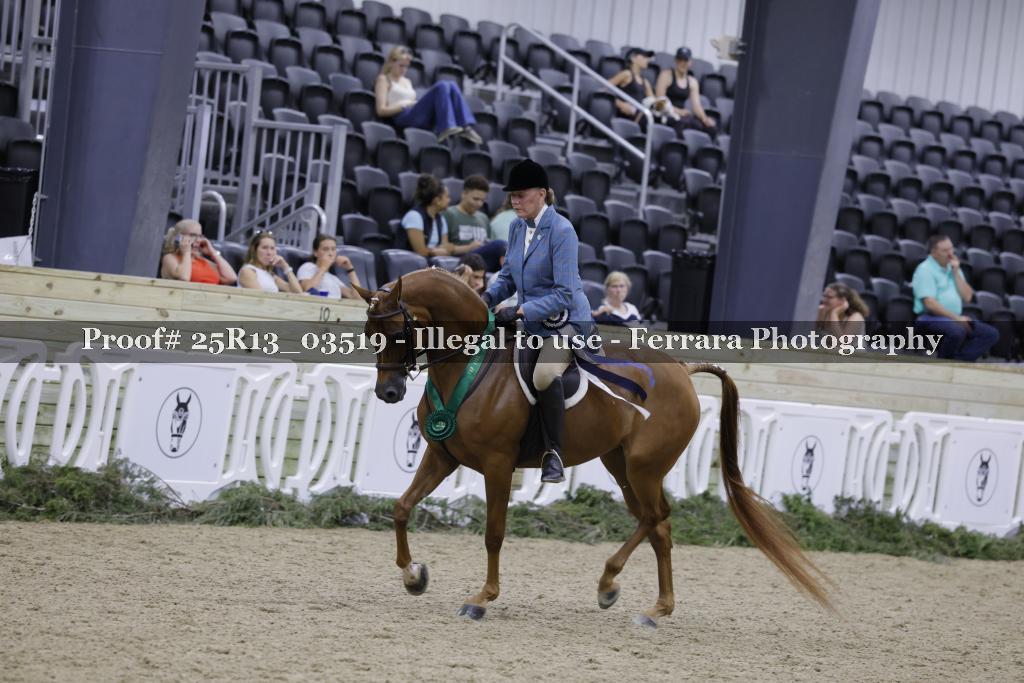 Proof 25R13_03519