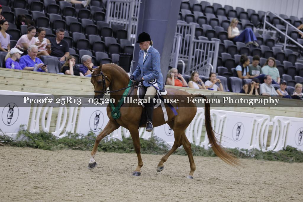 Proof 25R13_03520