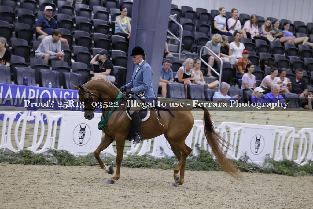 Proof 25R13_03522