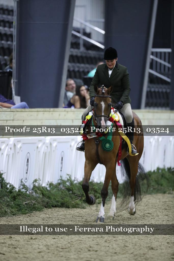 Proof 25R13_03524