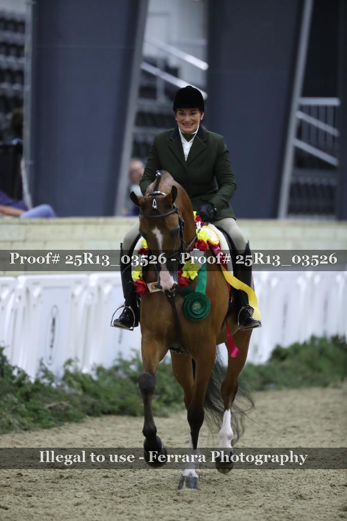 Proof 25R13_03526