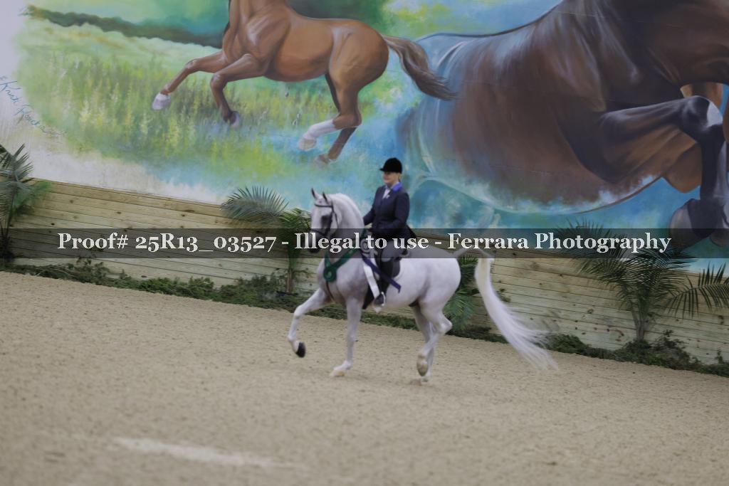 Proof 25R13_03527