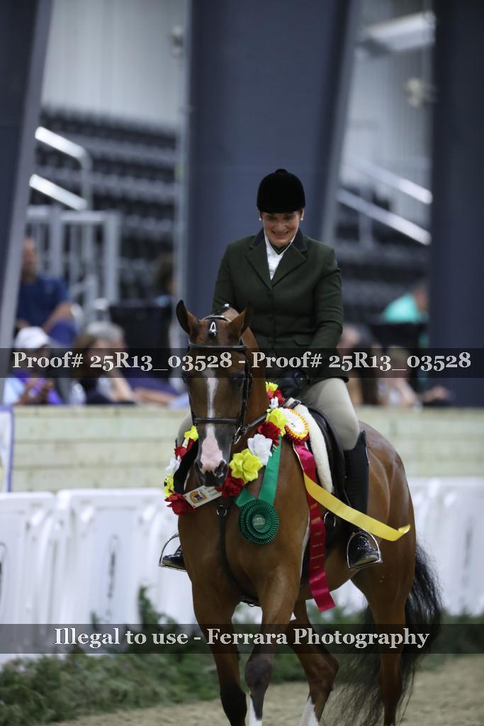 Proof 25R13_03528