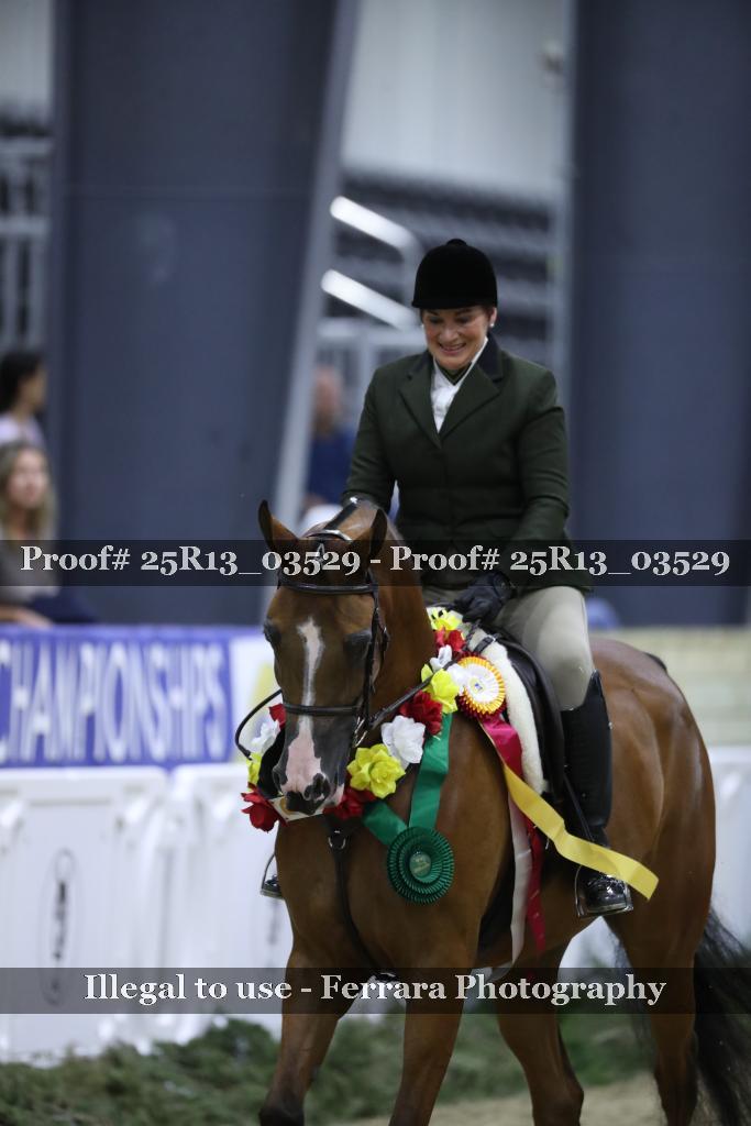 Proof 25R13_03529