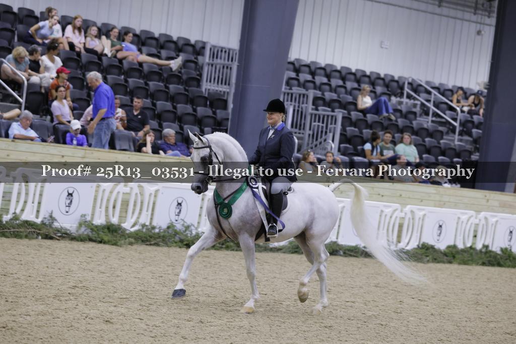 Proof 25R13_03531