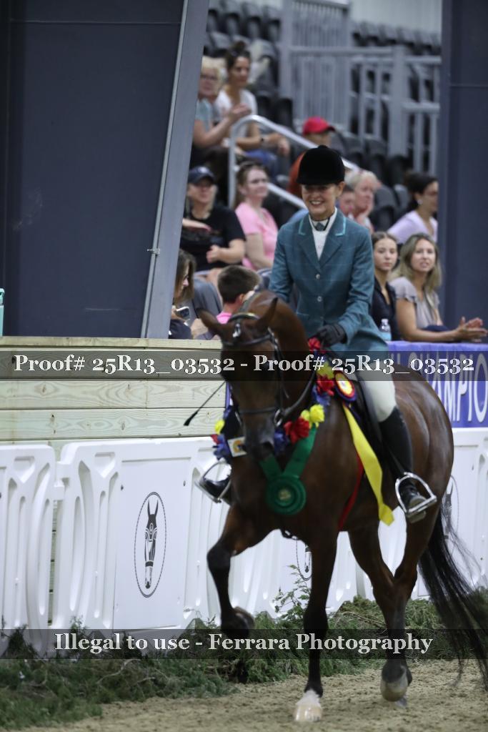Proof 25R13_03532