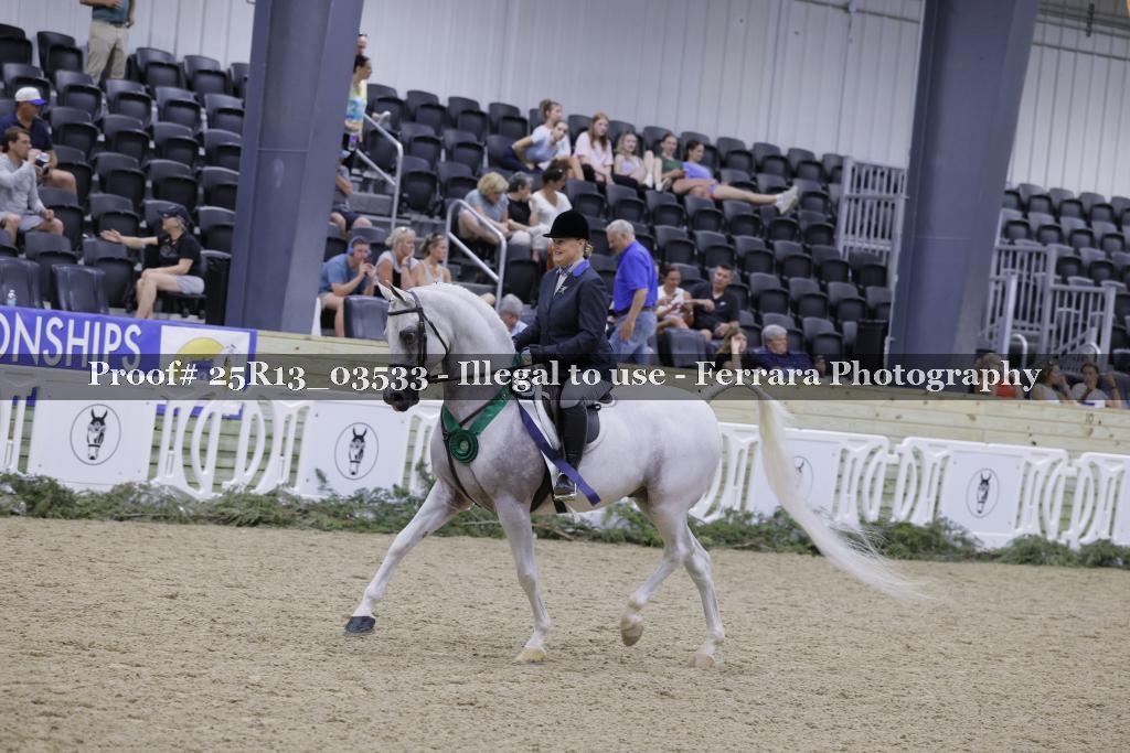 Proof 25R13_03533