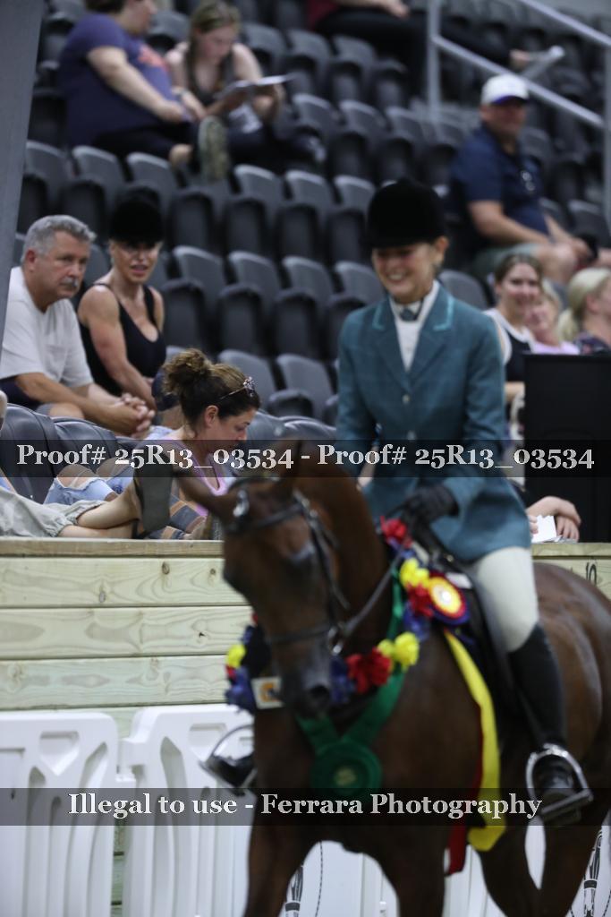 Proof 25R13_03534
