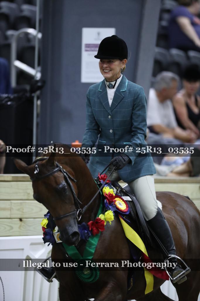 Proof 25R13_03535