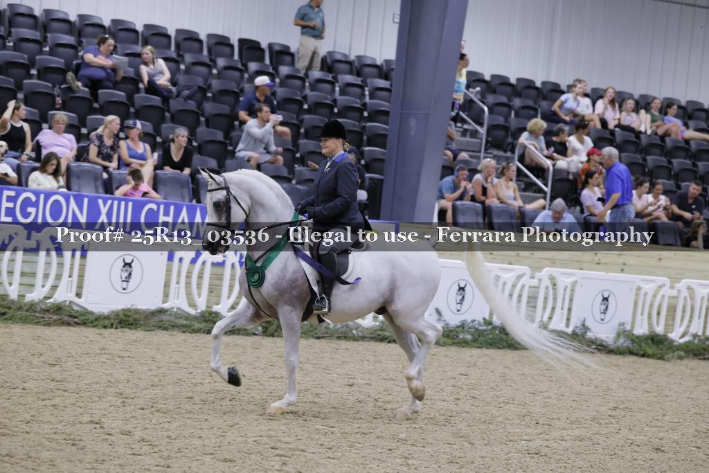 Proof 25R13_03536