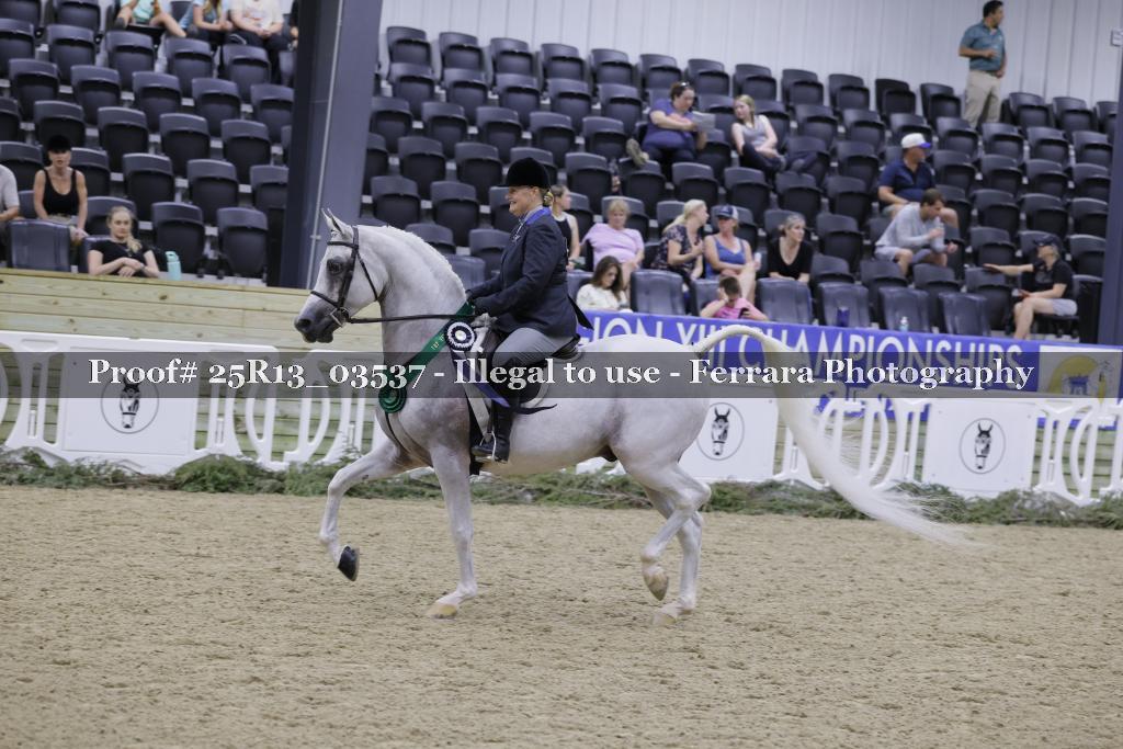 Proof 25R13_03537