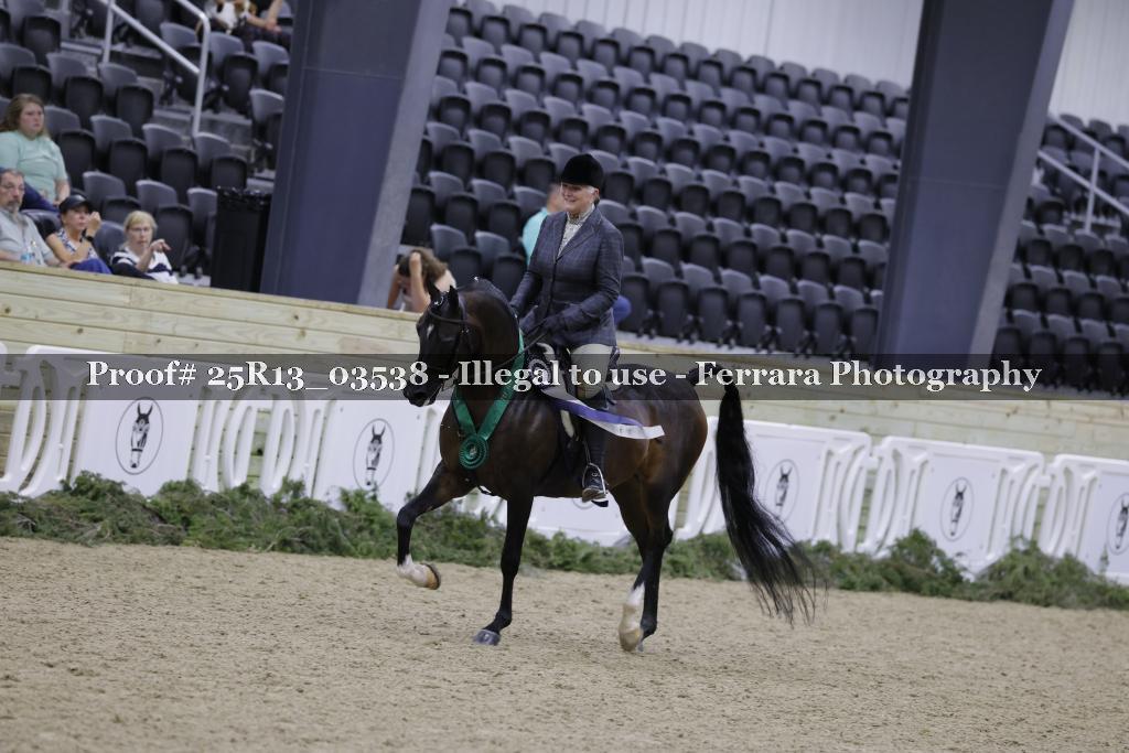 Proof 25R13_03538