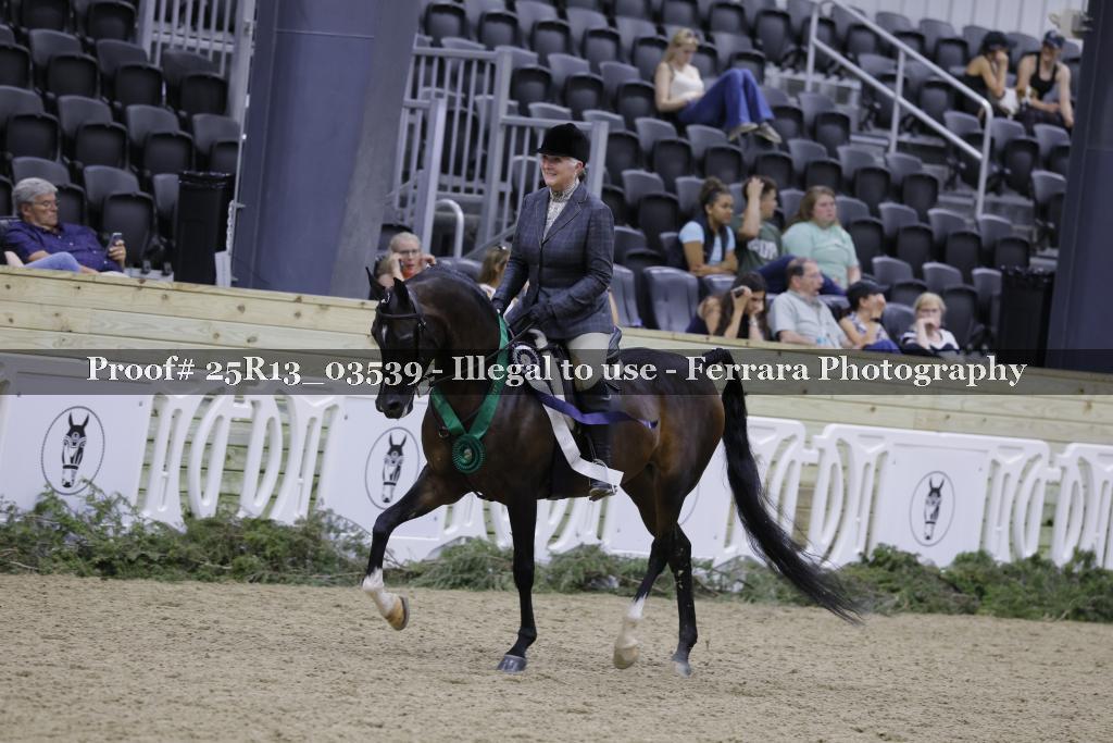 Proof 25R13_03539