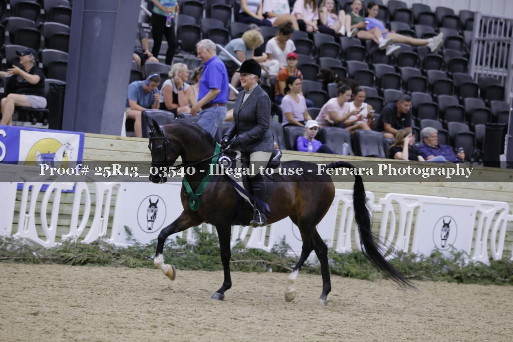 Proof 25R13_03540