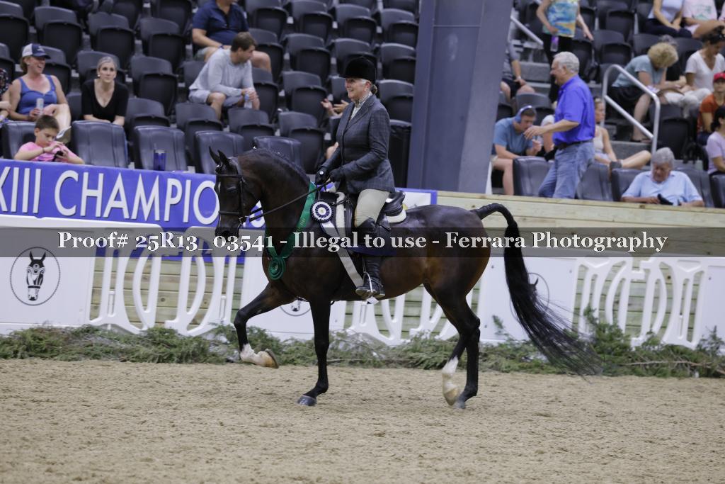 Proof 25R13_03541