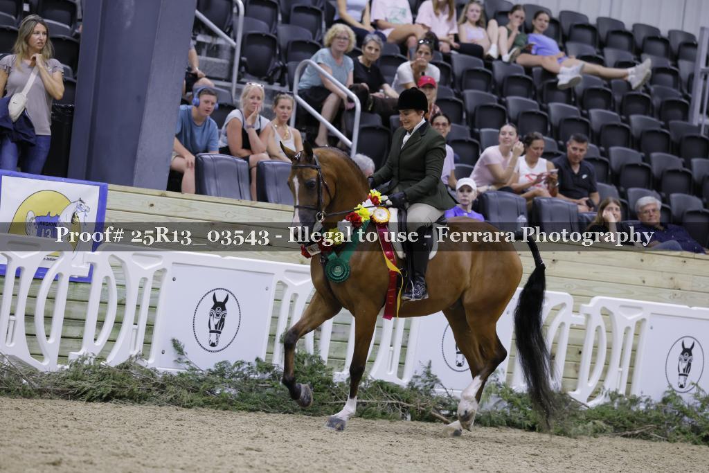 Proof 25R13_03543