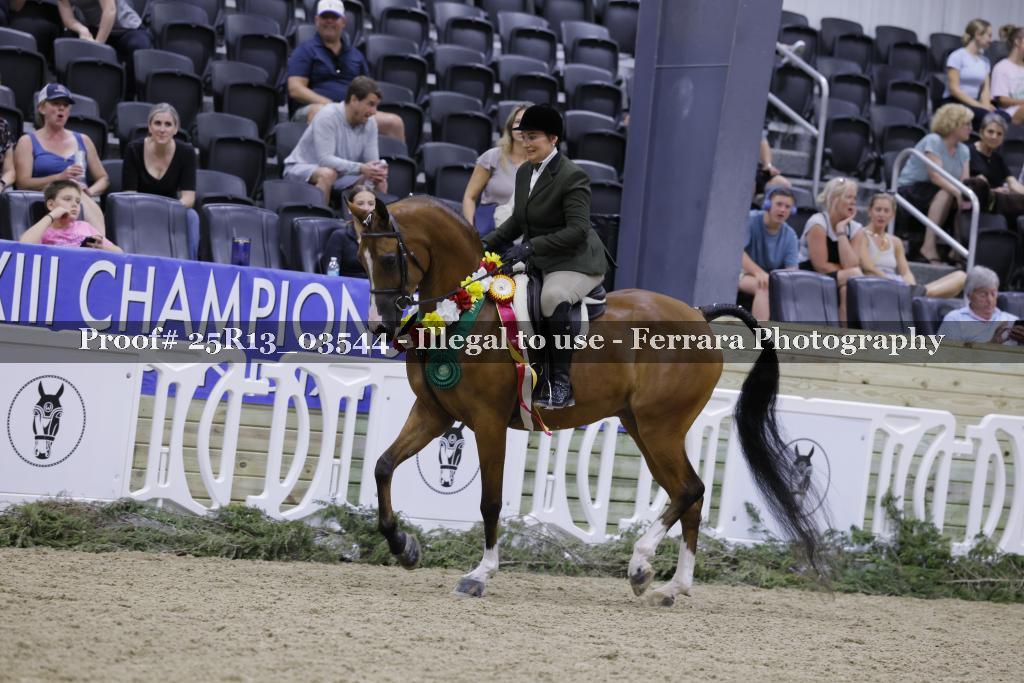 Proof 25R13_03544
