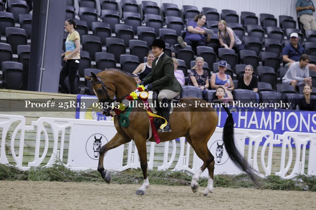 Proof 25R13_03545