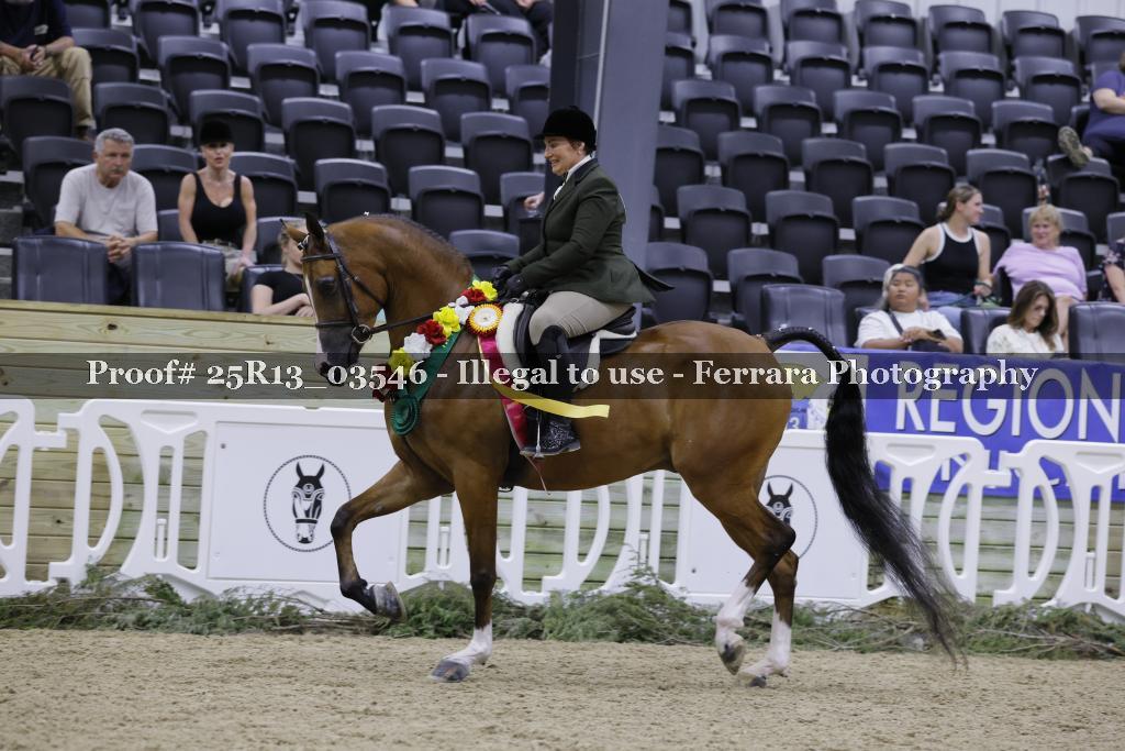 Proof 25R13_03546