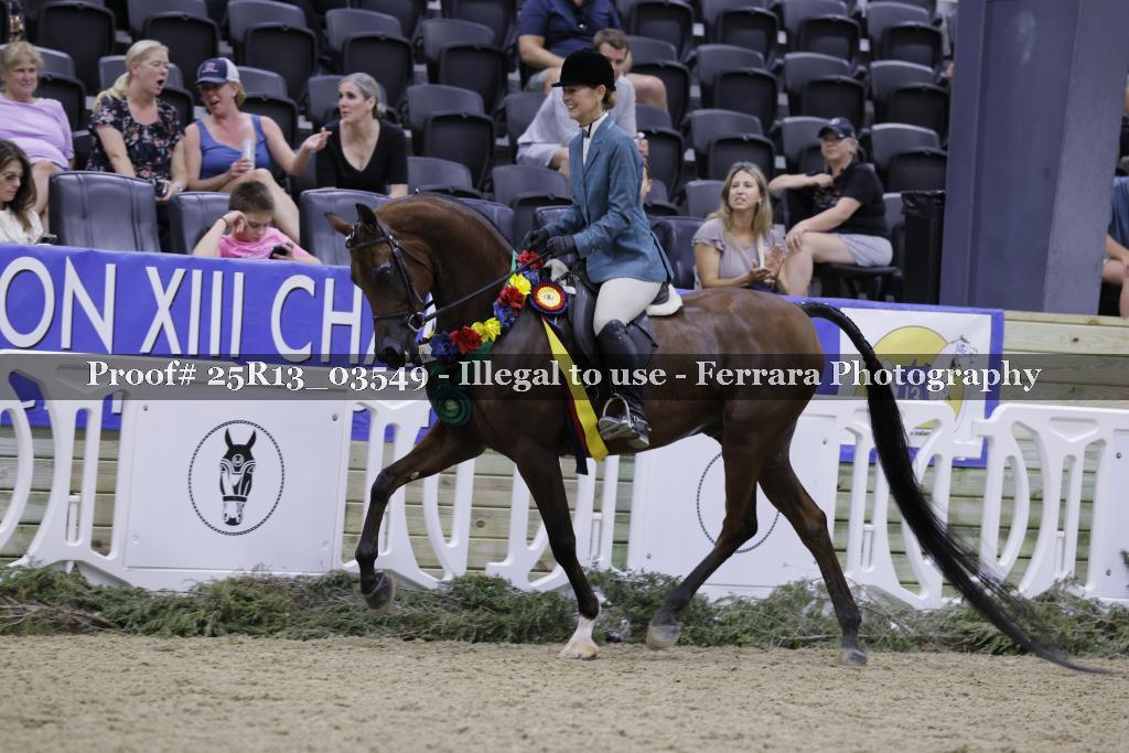 Proof 25R13_03549