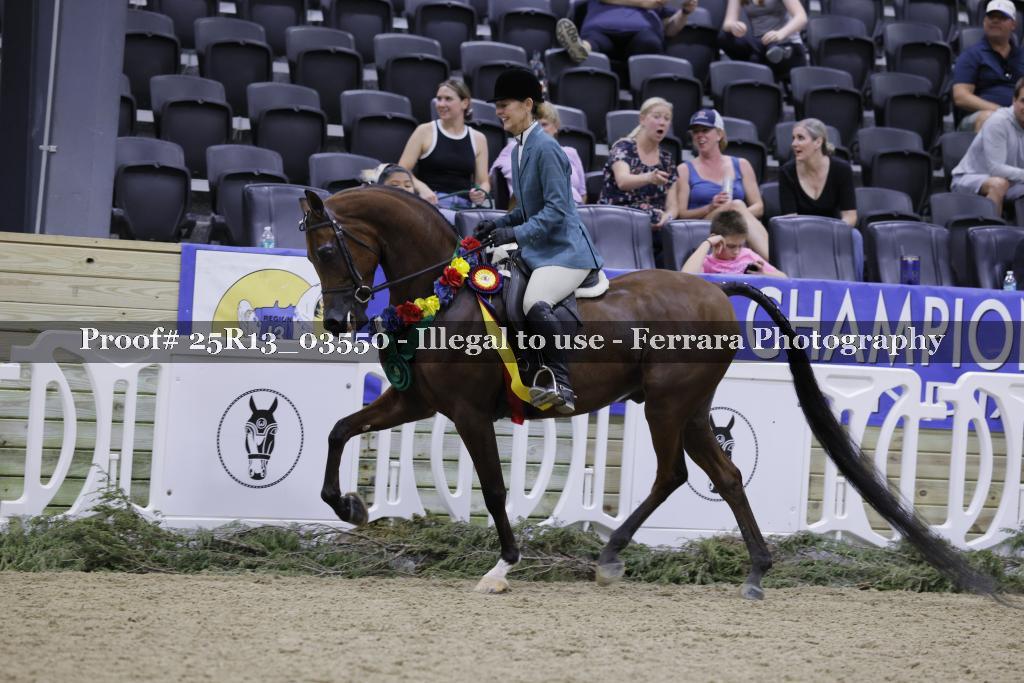 Proof 25R13_03550