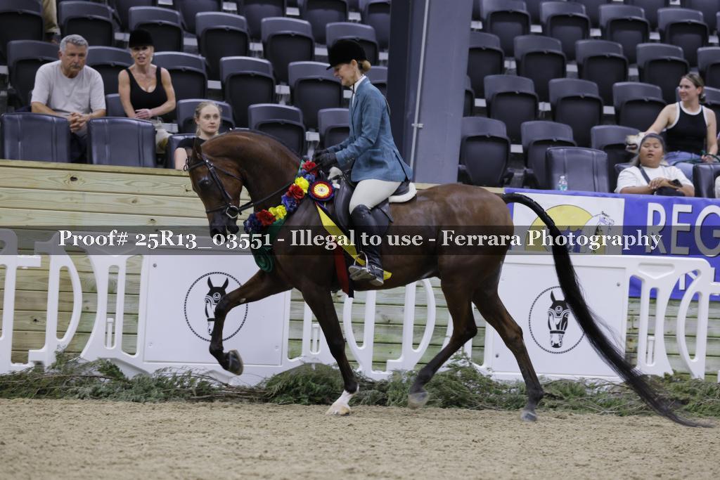 Proof 25R13_03551