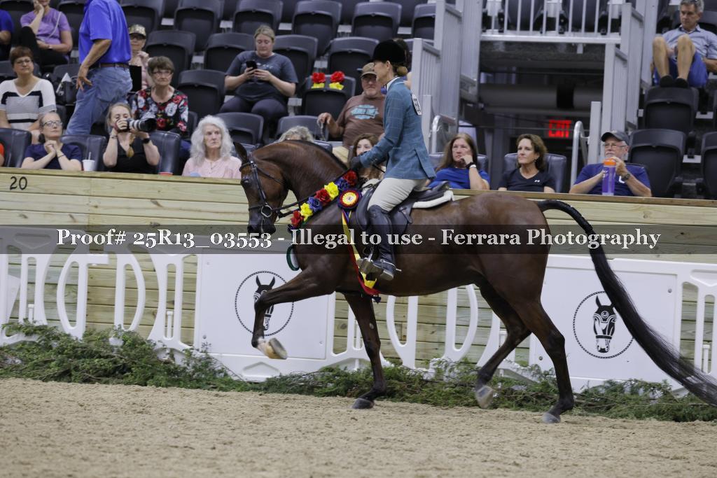Proof 25R13_03553