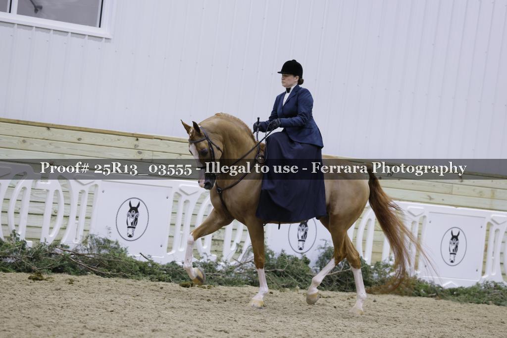 Proof 25R13_03555