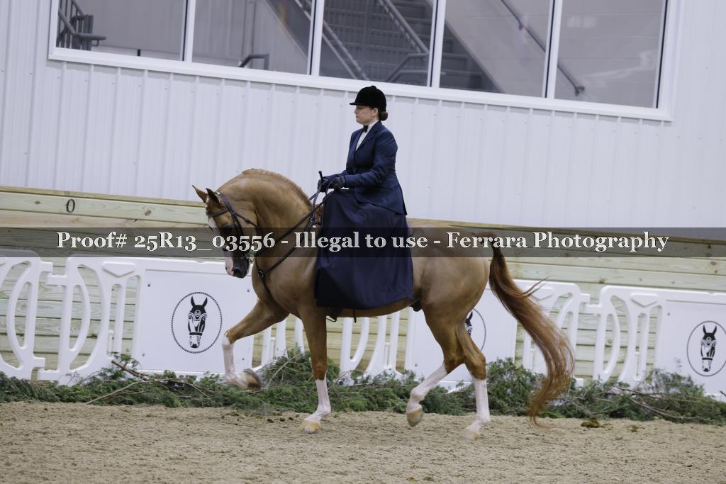 Proof 25R13_03556