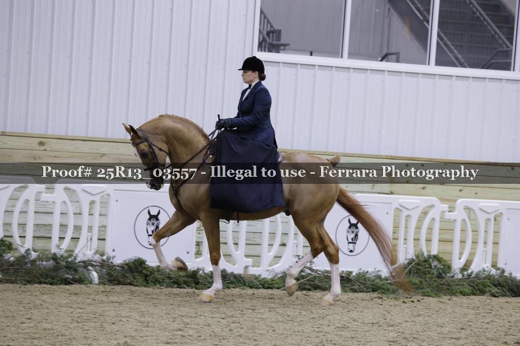 Proof 25R13_03557