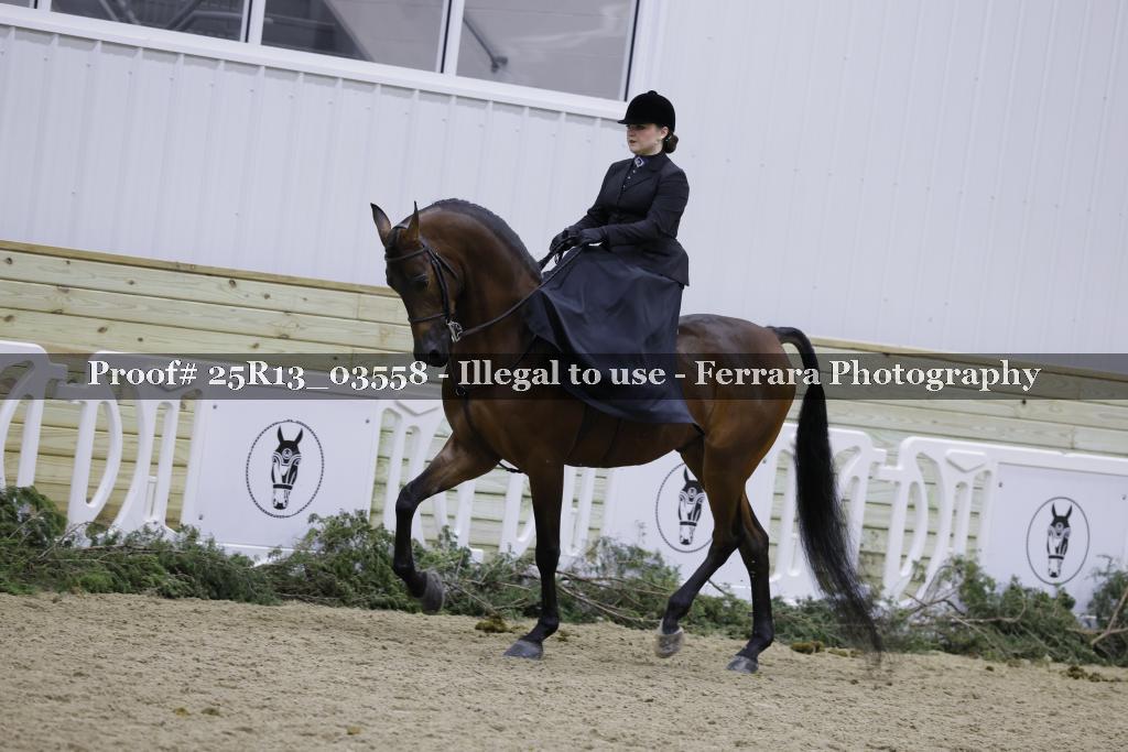 Proof 25R13_03558