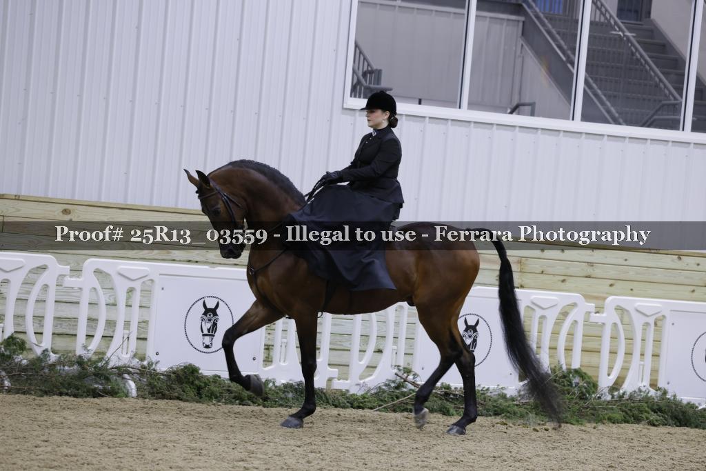Proof 25R13_03559