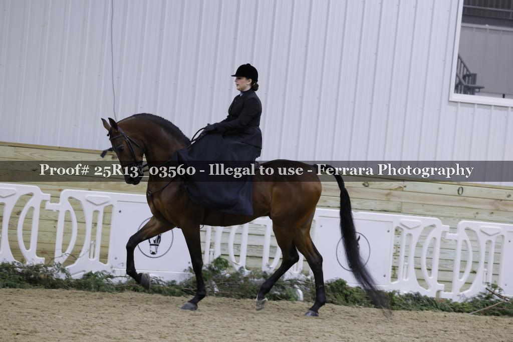 Proof 25R13_03560