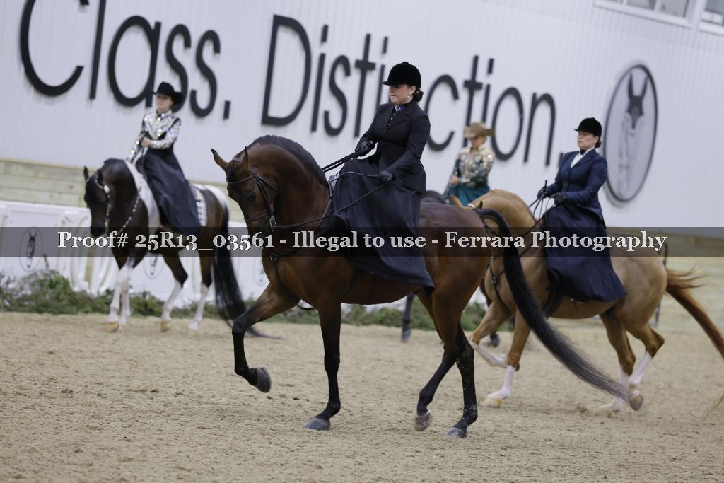 Proof 25R13_03561