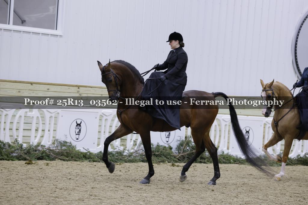 Proof 25R13_03562