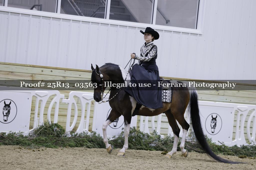 Proof 25R13_03563