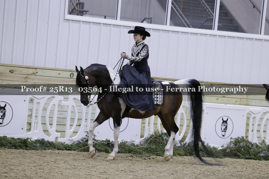 Proof 25R13_03564