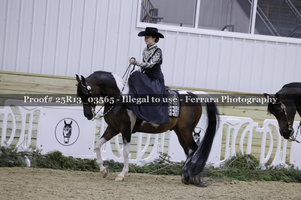 Proof 25R13_03565