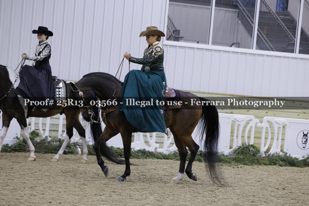 Proof 25R13_03566