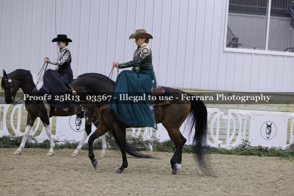 Proof 25R13_03567