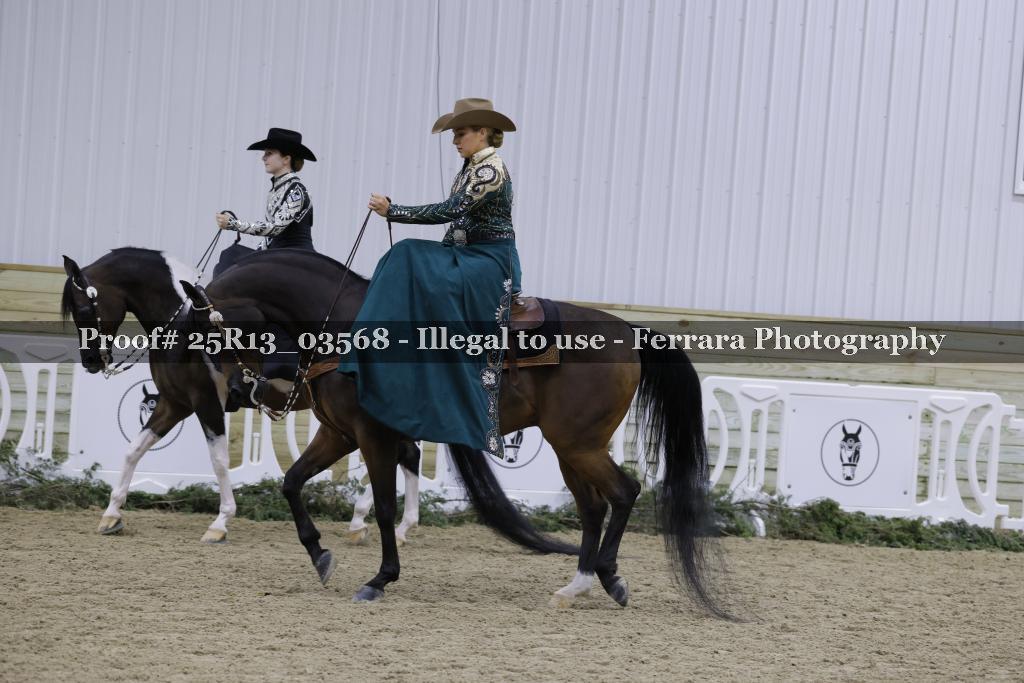 Proof 25R13_03568