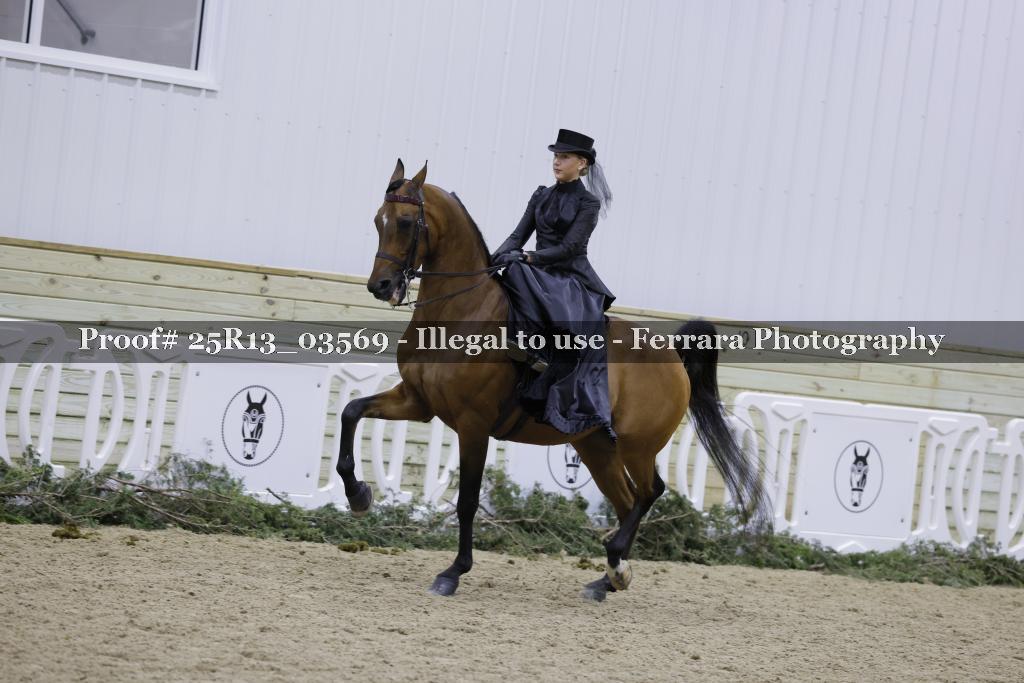 Proof 25R13_03569