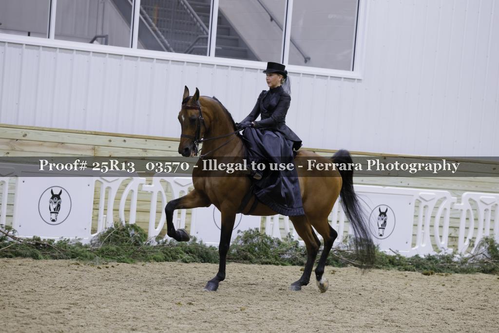 Proof 25R13_03570