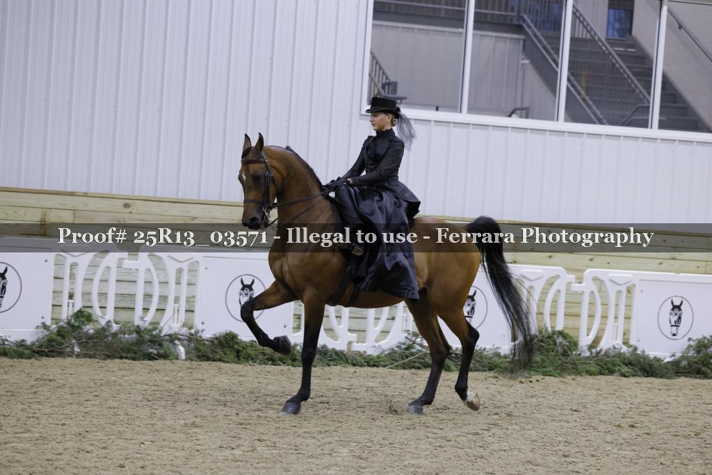 Proof 25R13_03571