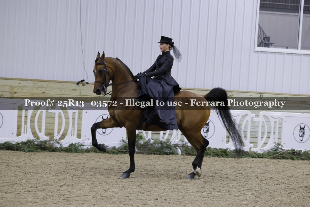 Proof 25R13_03572