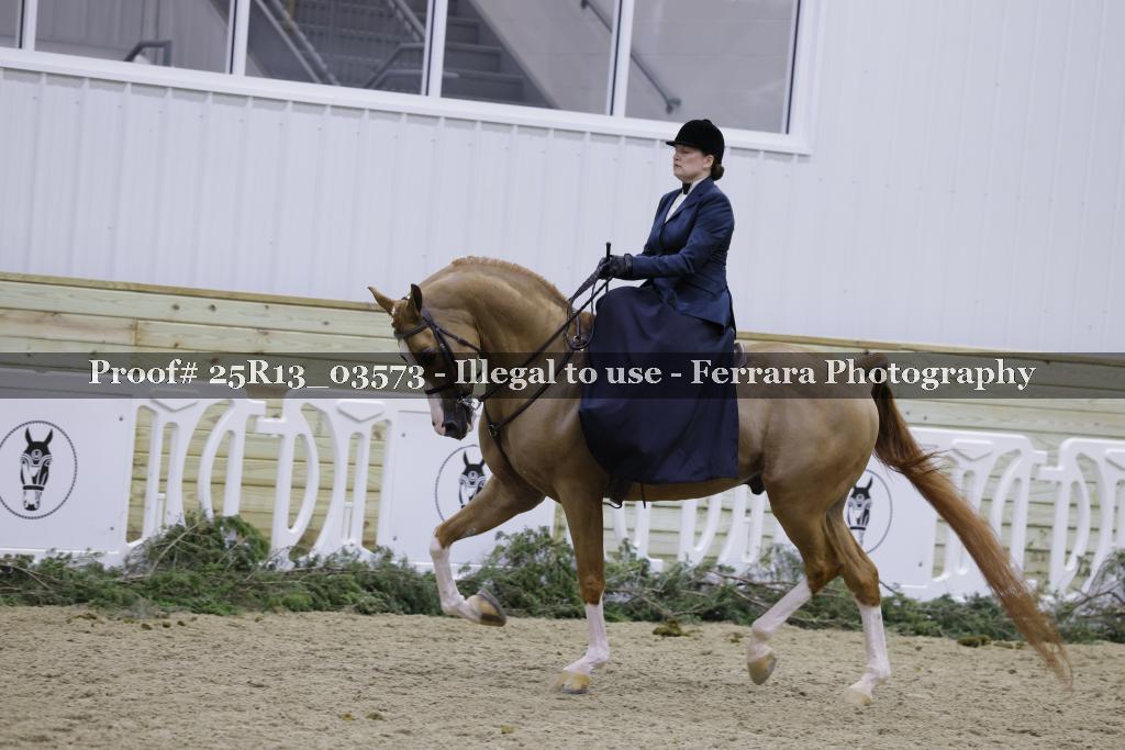 Proof 25R13_03573