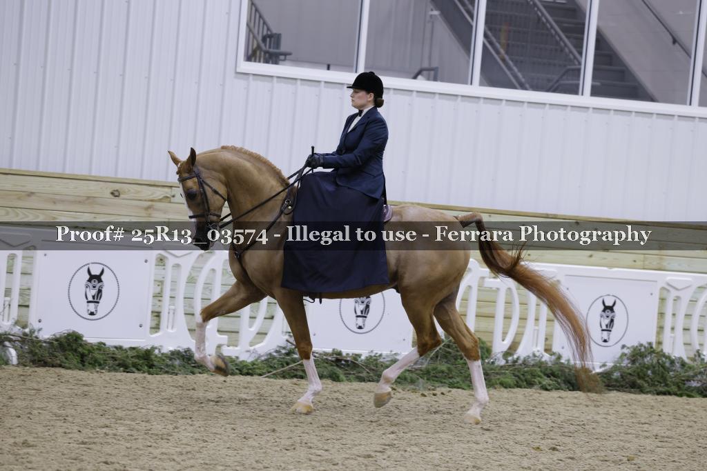 Proof 25R13_03574