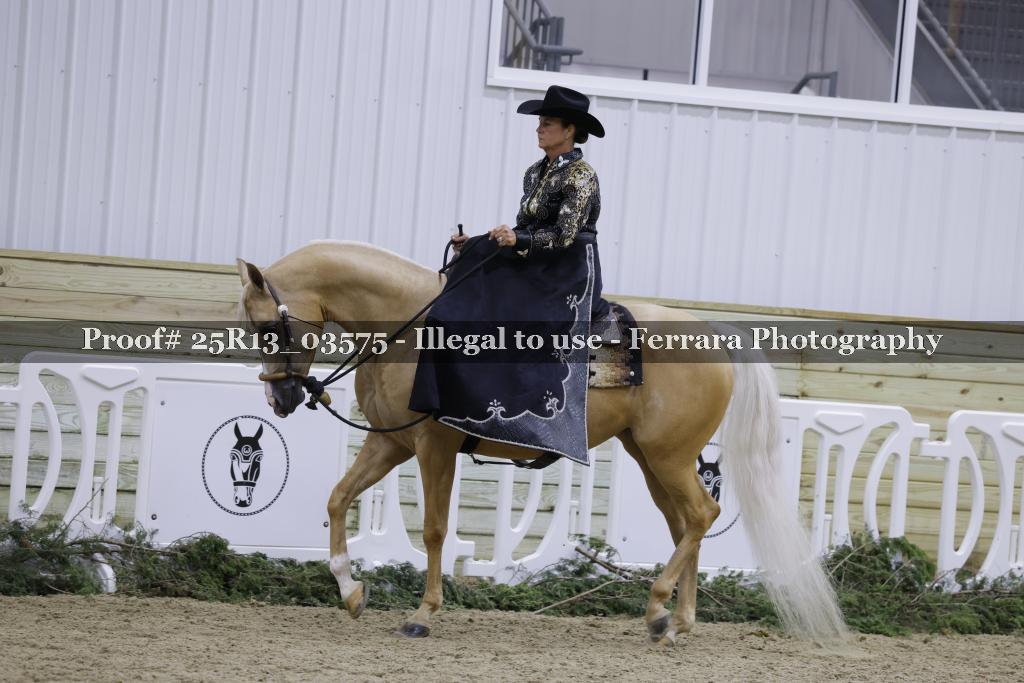 Proof 25R13_03575