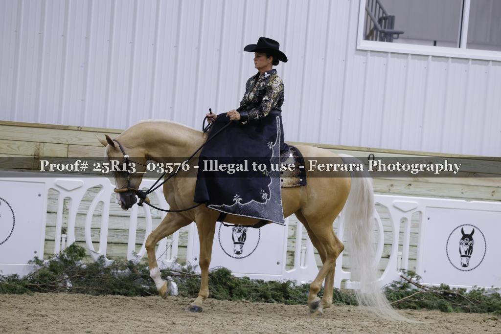 Proof 25R13_03576